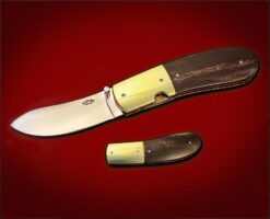 Stan Fujisaka Model 55