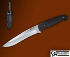 Allen Elishewitz Fighter