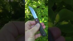 Enrique Pena SWAYBACK Front Flipper