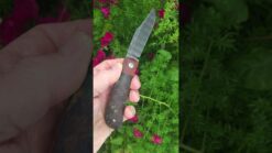 Enrique Pena Dressed LANNY'S CLIP Front Flipper