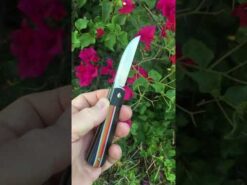 Enrique Pena SWAYBACK Front Flipper