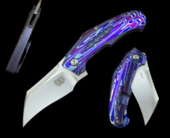 Tashi Bharucha FULL DRESS VICIOUS