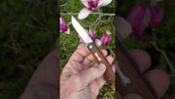 Enrique Pena TRAPPER Front  Flipper