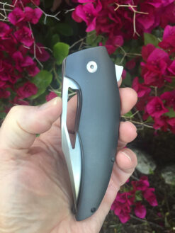 Tashi Bharucha STARDUST XLF PROTOTYPE