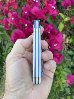 Alternative view of Nesterenko Oleksii / Tashi Bharucha Collaboration DRESSED ROADRUNNER