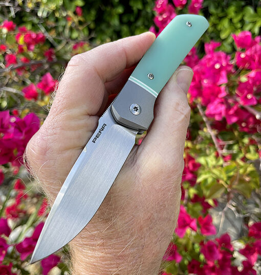 Enrique Pena CABALLERO  Front Flipper