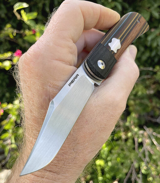 Enrique Pena Lanny's Clip Front  Flipper