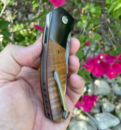 Alternative view of Thierry Savidan ZIRC And KOA HURRICANE