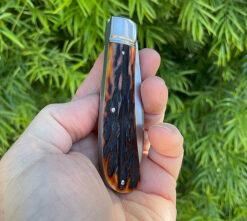 Alternative view of Jim Dunlap AMBER STAG ZULU