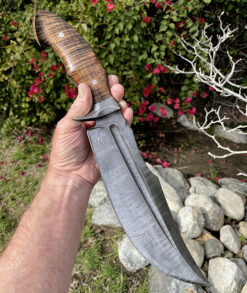 Sam Lurquin Forged Integral DRESSED RAPTOR