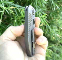 Alternative view of Peter Rassenti NIRVANA TANTO