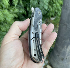 Alternative view of Begg Knives DRESSED Bodega Flipper