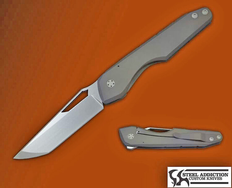 Pieter Swanepoel EVOLVER Flipper