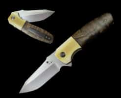Alternative view of Kirby Lambert Koa & Westy PHOENIX